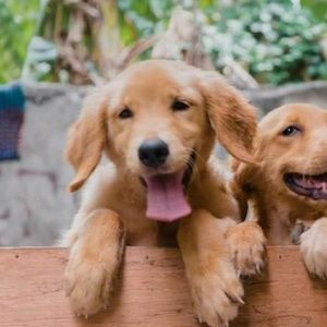 Meet your Posher, Cassie